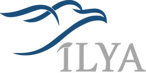 About Logo